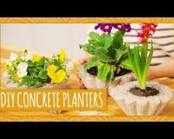 DIY Concrete Planters – HGTV Handmade