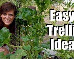 Easy & Inexpensive Trellis Ideas for Vining Plants and Just About Any Plant in Your Garden