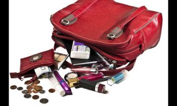 Purse / Handbag Clean-Out