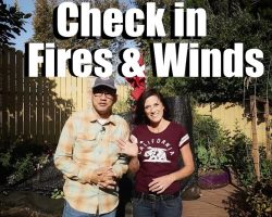 Fires, Wind, Check In // Beyond the Garden #5