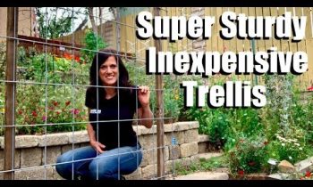 Making a Super Sturdy, Easy, Inexpensive Trellis to Maximize Garden Space & Planting Cucumbers